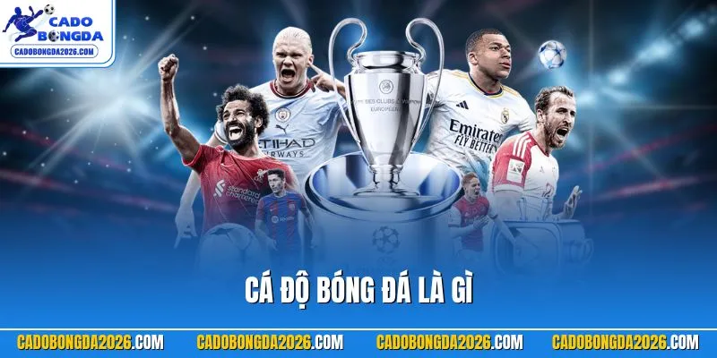 Cá độ bóng đá là gì