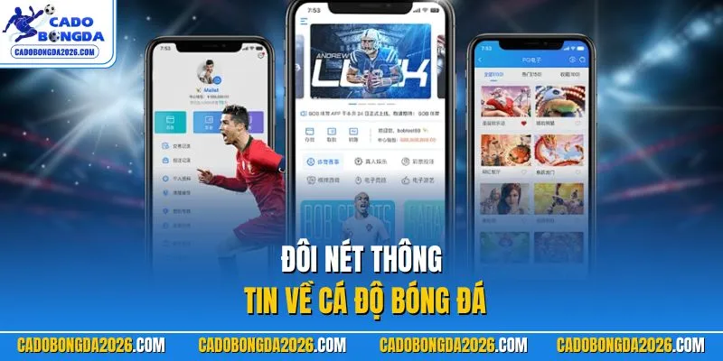 Đôi nét thông tin về CÁ ĐỘ BÓNG ĐÁ