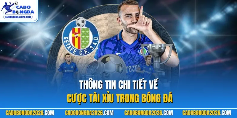 Thông tin chi tiết về cược tài xỉu trong bóng đá