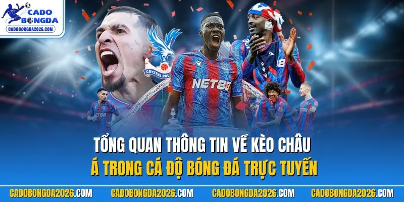 Tổng quan thông tin về kèo châu Á trong cá độ bóng đá trực tuyến